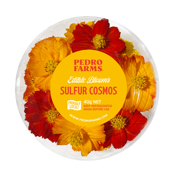 Sulfur Cosmos (Edible Flowers)
