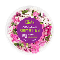 Sweet William (Edible Flowers)