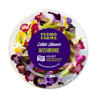 Wishbone Flower (Edible Flowers)